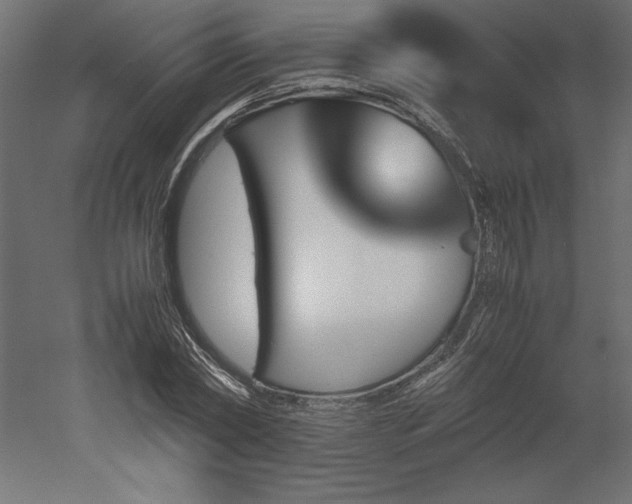 X0000051900782200507011506