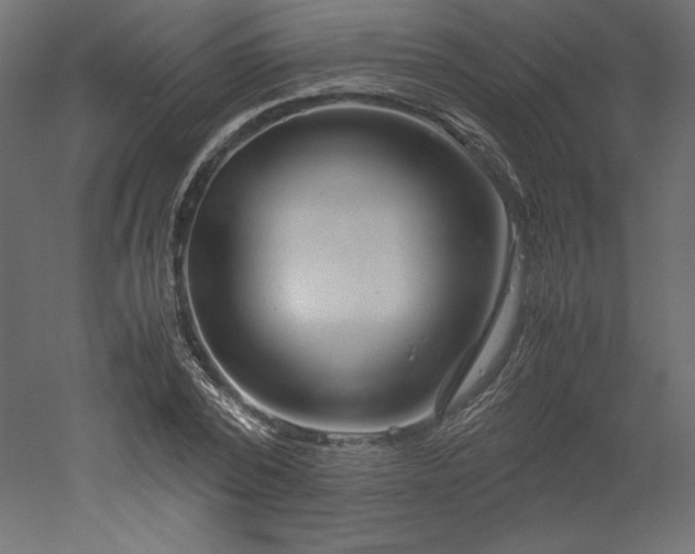 X0000051900784200507011506