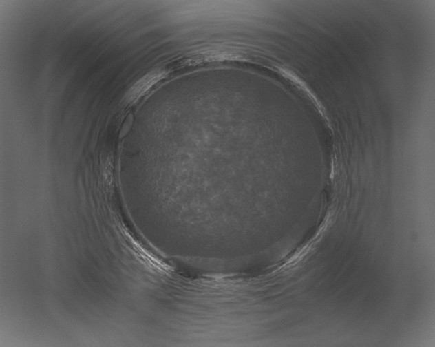 X0000051900785200507011506