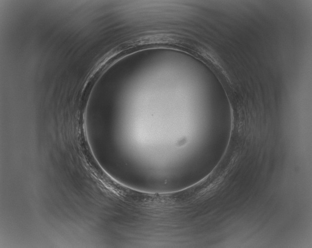 X0000051900786200507011506