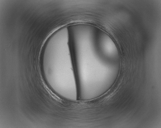 X0000051900787200507011506