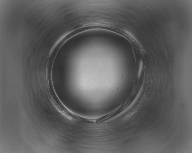 X0000051900788200507011506