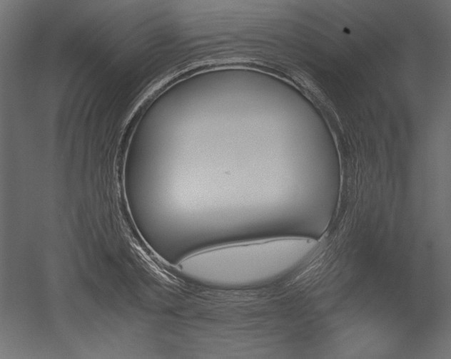 X0000051900789200507011506