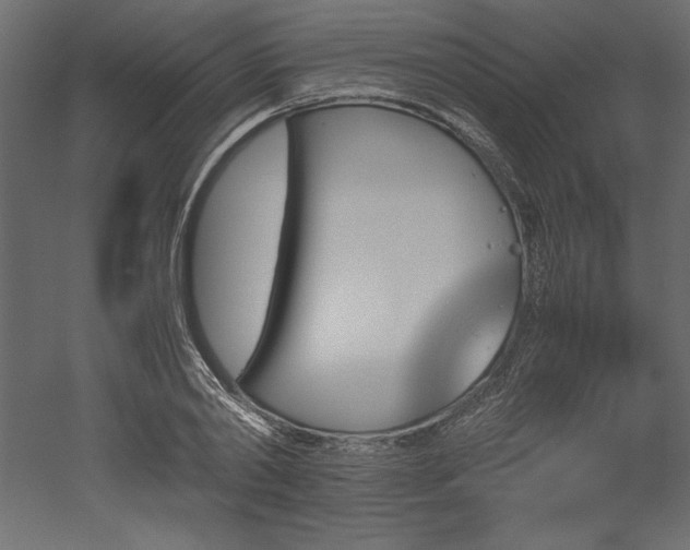X0000051900790200507011506
