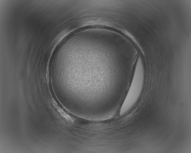 X0000051900791200507011506