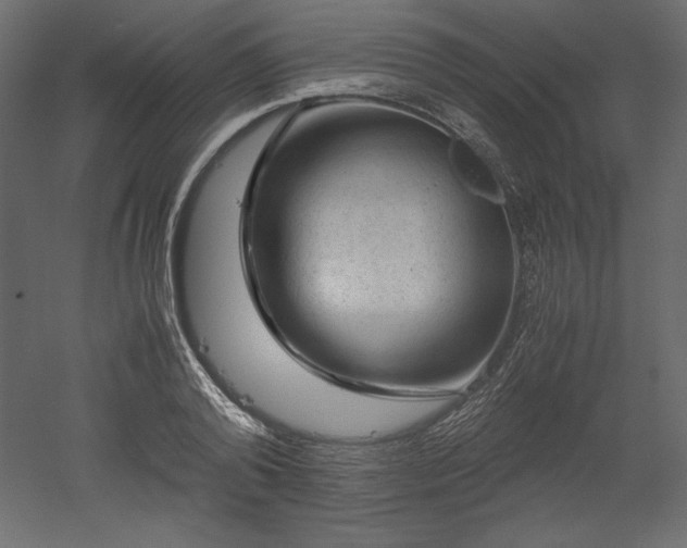 X0000051900792200507011506