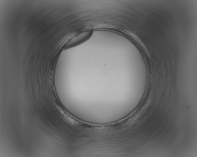 X0000051900793200507011506