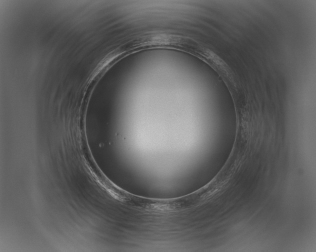 X0000051900794200507011506