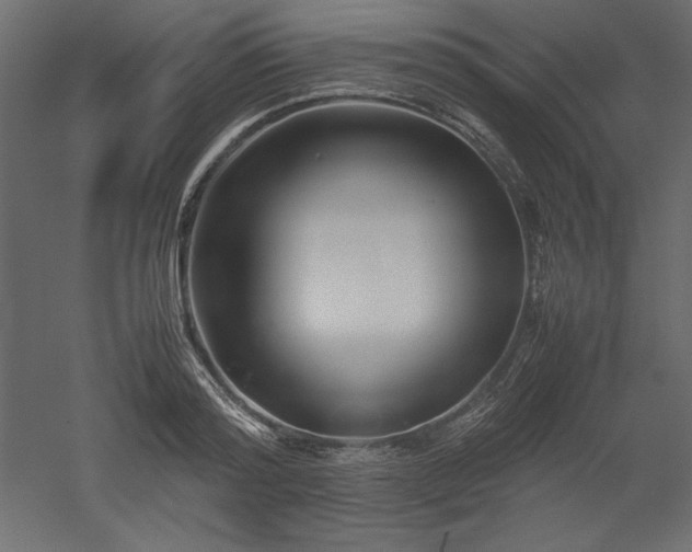X0000051900796200507011506