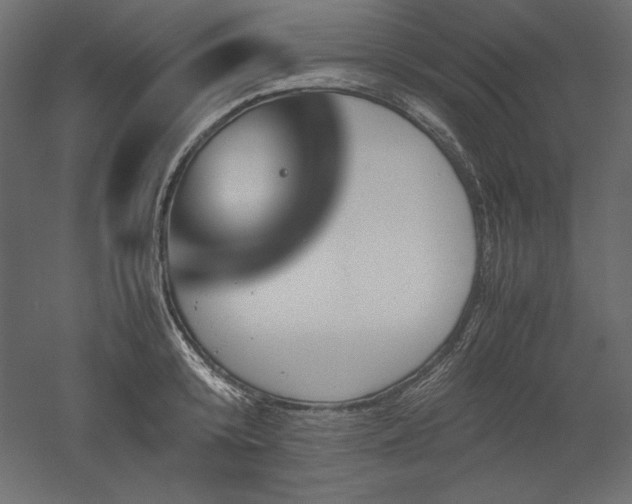 X0000051900800200507011506