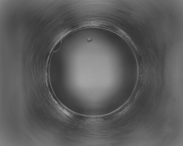 X0000051900802200507011506