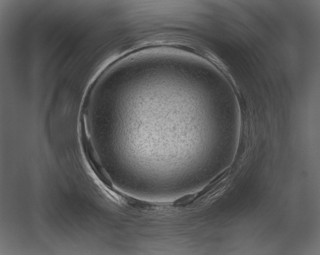 X0000051900803200507011506