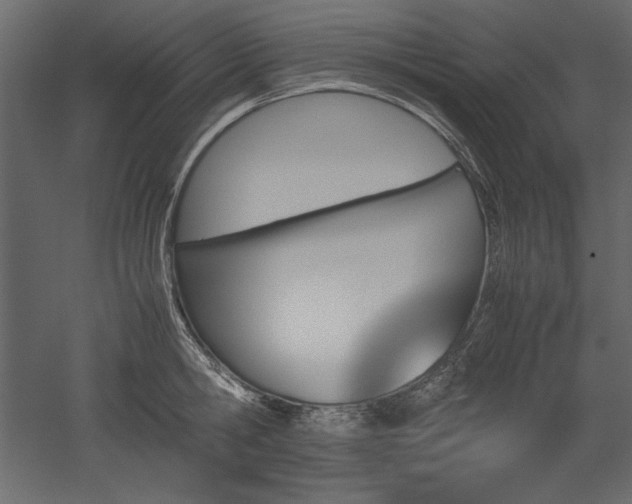 X0000051900806200507011506
