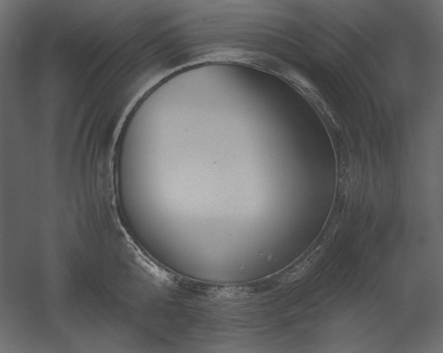 X0000051900808200507011506