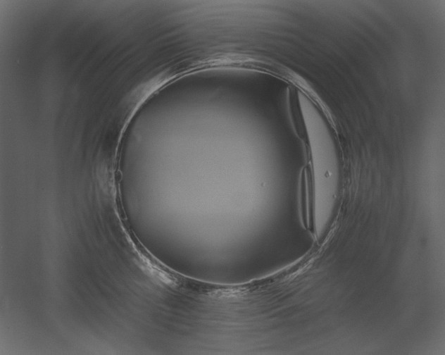 X0000051900810200507011506