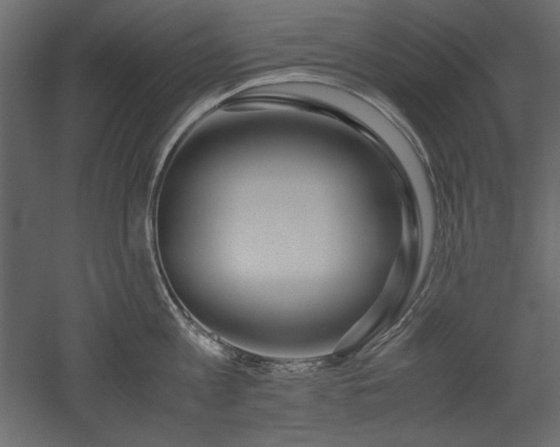 X0000051900813200507011506