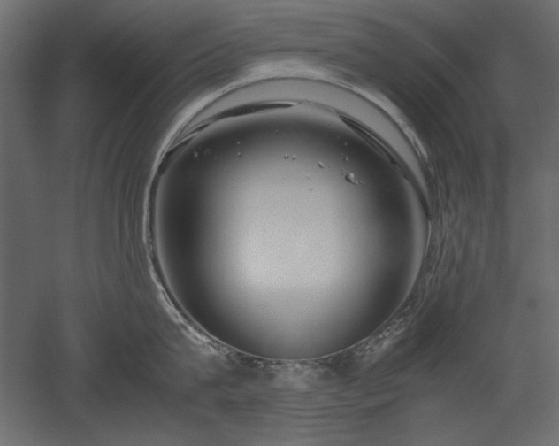 X0000051900815200507011505