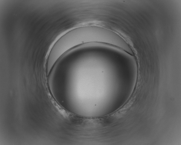 X0000051900816200507011505