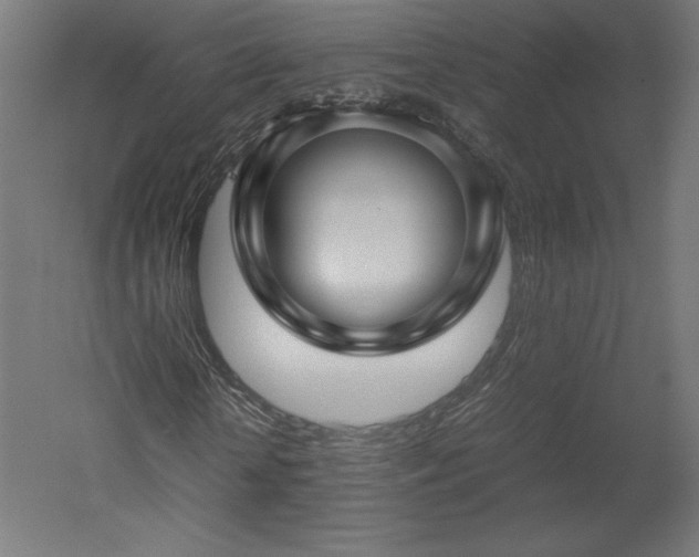 X0000051900818200507011505