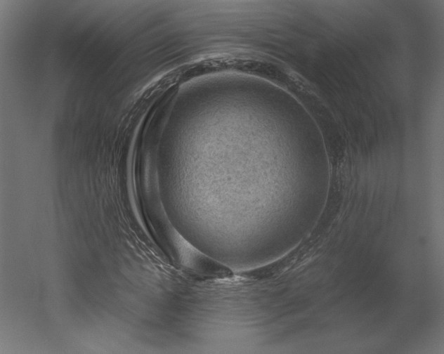 X0000051900822200507011505