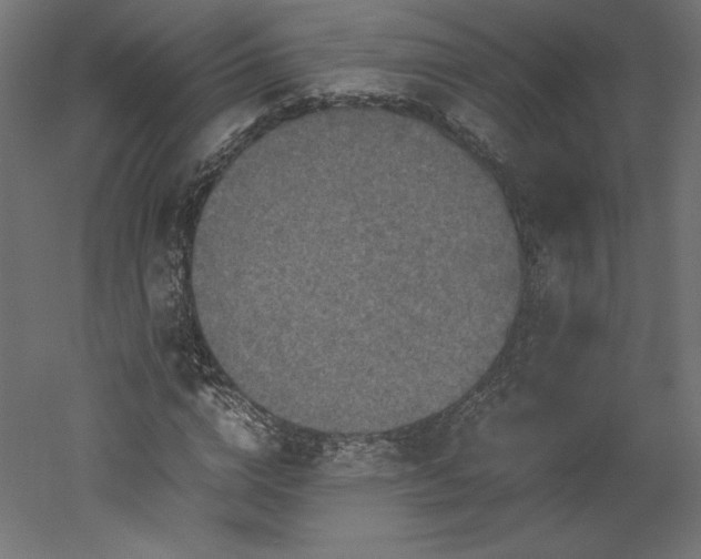 X0000051900824200507011505