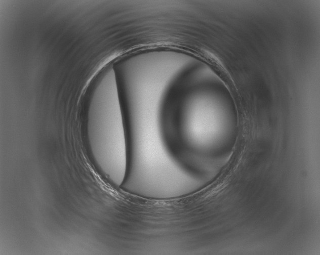 X0000051900827200507011505