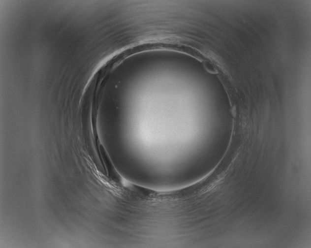 X0000051900830200507011505