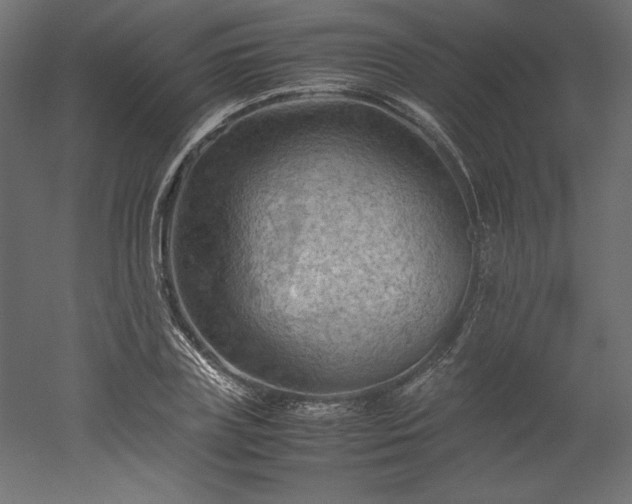 X0000051900835200507011505