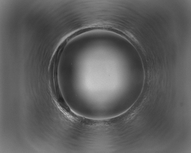 X0000051900838200507011505