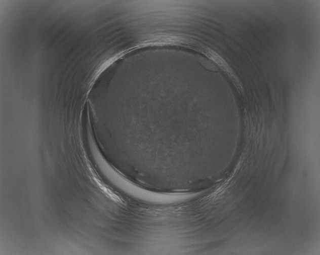 X0000051900842200507011505