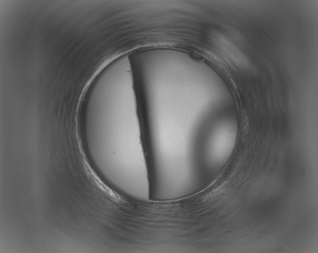 X0000051900843200507011505