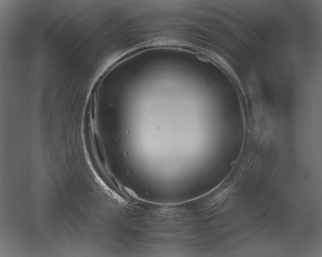 X0000051900847200507011505