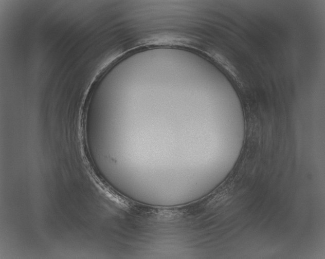X0000051900848200507011505