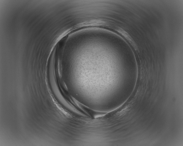 X0000051900850200507011505
