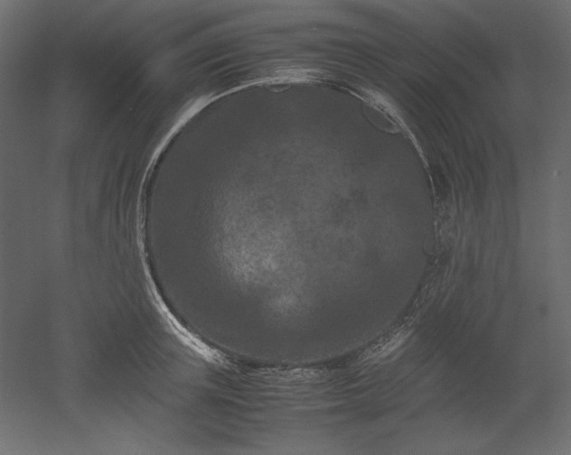 X0000051900851200507011505