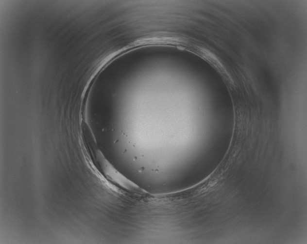 X0000051900852200507011505