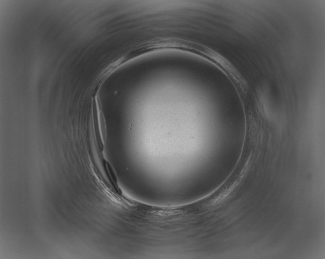 X0000051900857200507011505