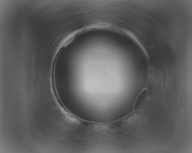 X0000051900861200507011505
