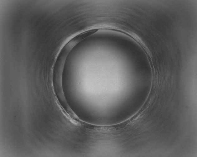 X0000051900862200507011505
