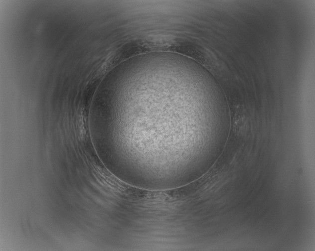 X0000051900866200507011505