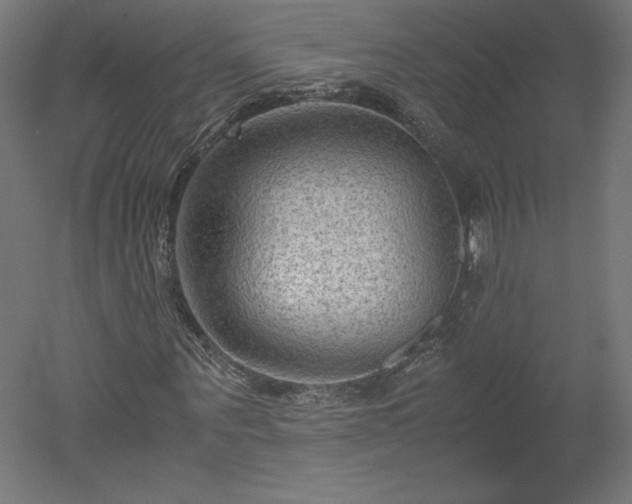 X0000051900867200507011505