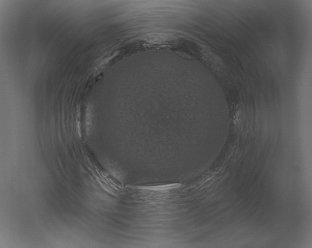 X0000051900868200507011505