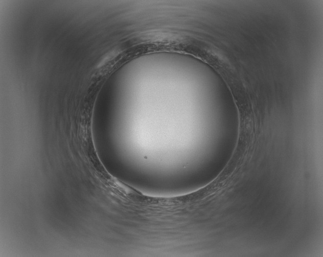 X0000051900869200507011505
