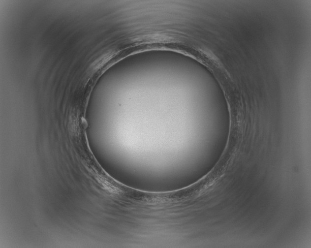 X0000051900873200507011504