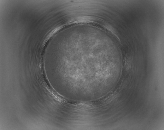 X0000051900874200507011504