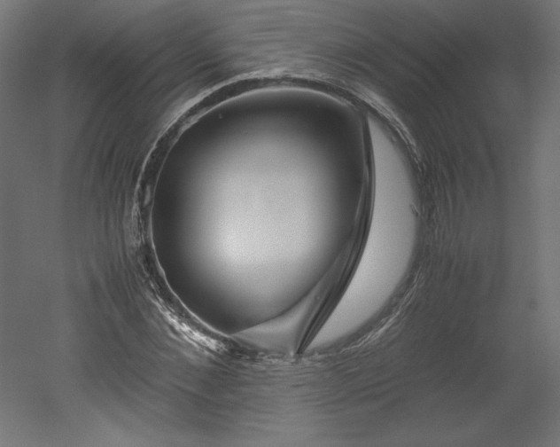 X0000051900876200507011504