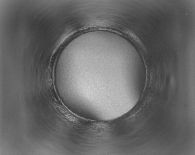 X0000051900878200507011504