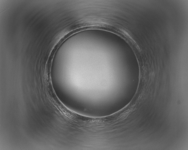 X0000051900883200507011504