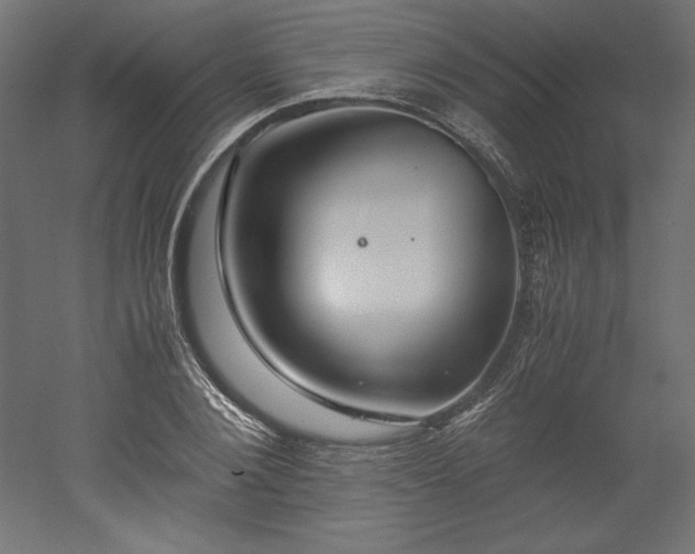 X0000051900884200507011504