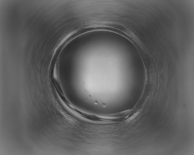 X0000051900885200507011504